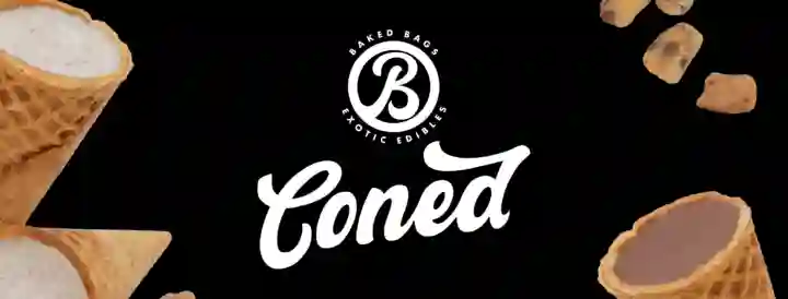 Baked Bags Case Study